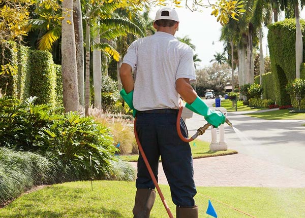 About Ronco PA Pest Control Pros